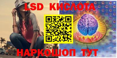 индика Будённовск