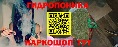 индика Будённовск