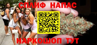 индика Будённовск
