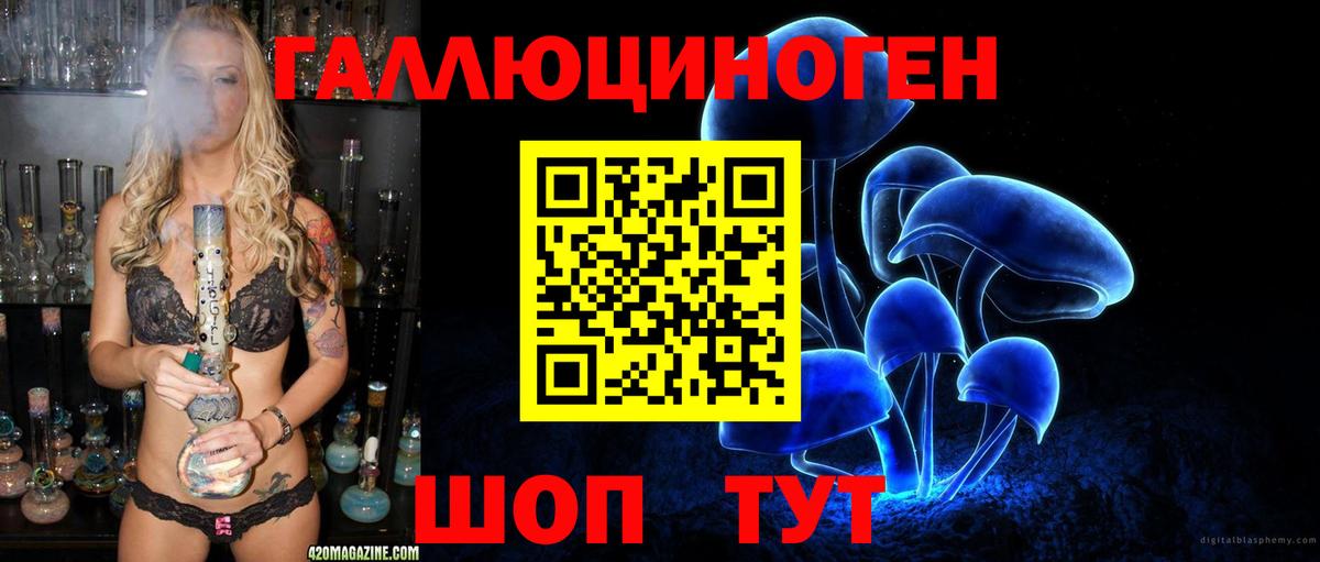 Галлюциногенные грибы прущие грибы  Вход с VPN  Обь 
